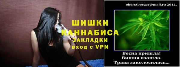 ALPHA PVP Богородицк
