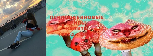 ALPHA PVP Богородицк