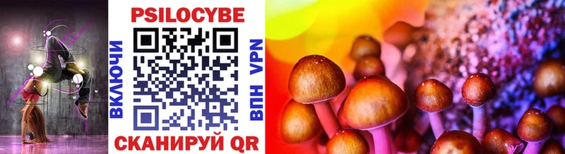 купить наркотик omg онион Галлюциногенные грибы MAGIC MUSHROOMS Циолковский